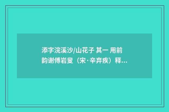 添字浣溪沙/山花子 其一 用前韵谢傅岩叟（宋·辛弃疾）释义及解释