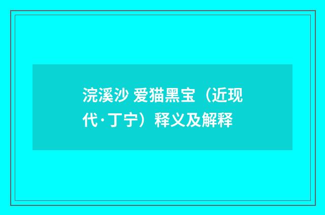 浣溪沙 爱猫黑宝（近现代·丁宁）释义及解释
