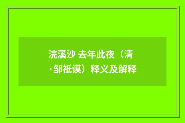 浣溪沙 去年此夜（清·邹祗谟）释义及解释