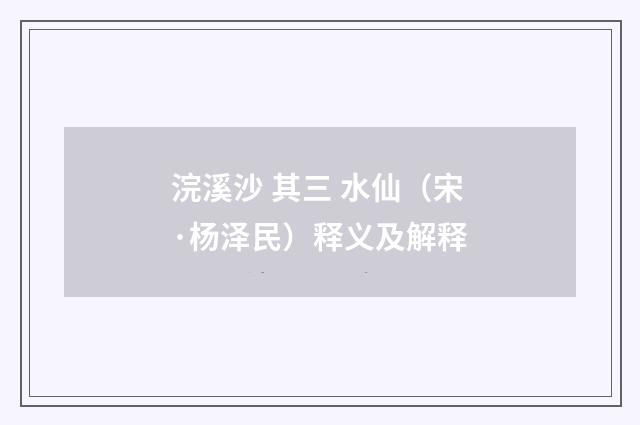 浣溪沙 其三 水仙（宋·杨泽民）释义及解释