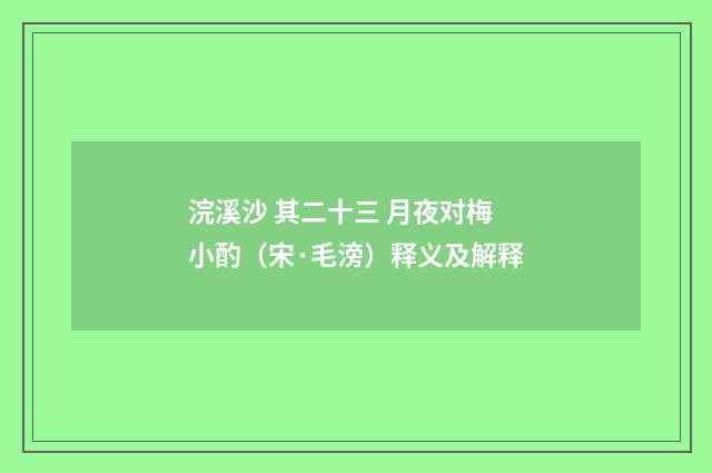 浣溪沙 其二十三 月夜对梅小酌（宋·毛滂）释义及解释