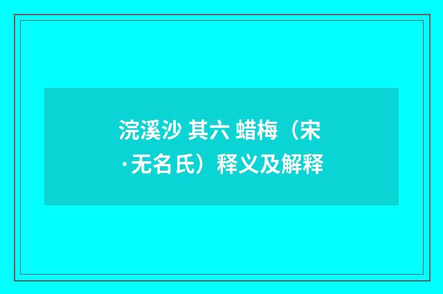 浣溪沙 其六 蜡梅（宋·无名氏）释义及解释