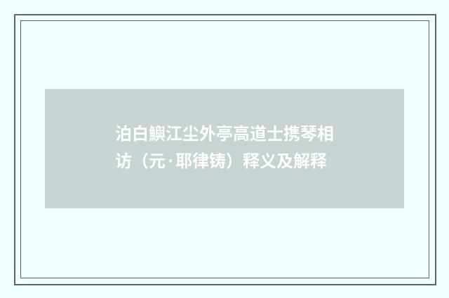 泊白鱮江尘外亭高道士携琴相访（元·耶律铸）释义及解释