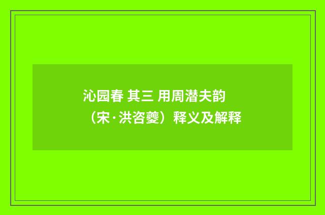 沁园春 其三 用周潜夫韵（宋·洪咨夔）释义及解释