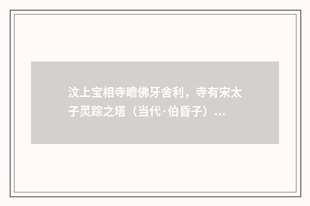 汶上宝相寺瞻佛牙舍利，寺有宋太子灵踪之塔（当代·伯昏子）释义及解释