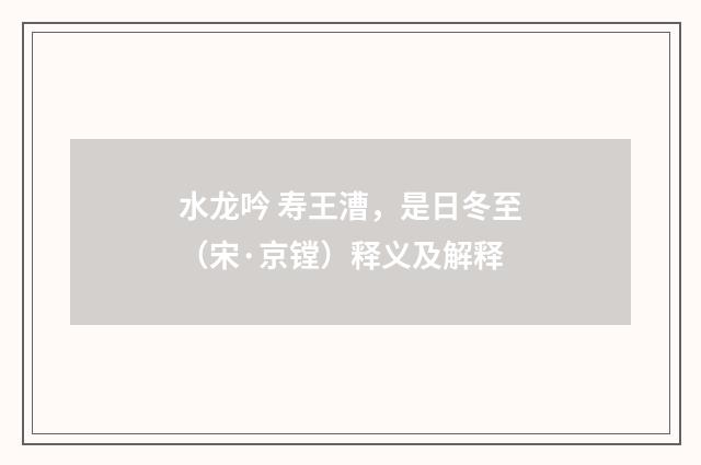 水龙吟 寿王漕，是日冬至（宋·京镗）释义及解释