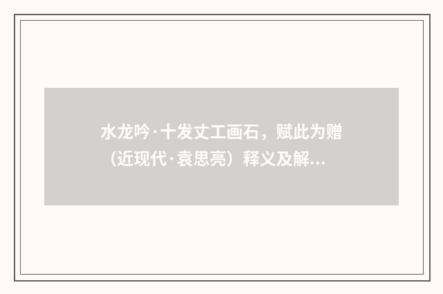 水龙吟·十发丈工画石，赋此为赠（近现代·袁思亮）释义及解释