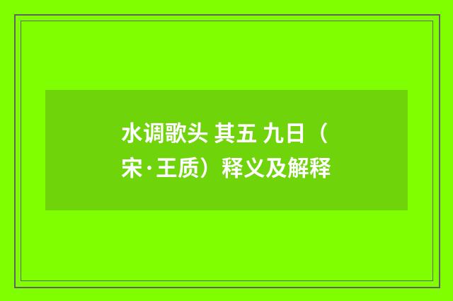水调歌头 其五 九日（宋·王质）释义及解释