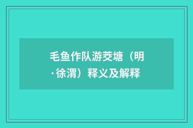 毛鱼作队游茭塘（明·徐渭）释义及解释