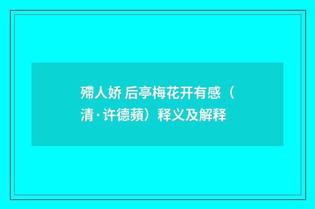 殢人娇 后亭梅花开有感（清·许德蘋）释义及解释