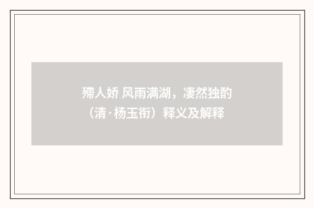 殢人娇 风雨满湖，凄然独酌（清·杨玉衔）释义及解释