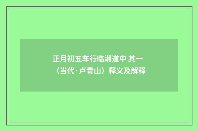 正月初五车行临湘道中 其一（当代·卢青山）释义及解释