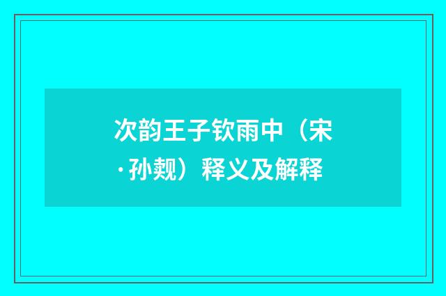 次韵王子钦雨中（宋·孙觌）释义及解释