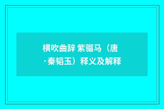 横吹曲辞 紫骝马（唐·秦韬玉）释义及解释
