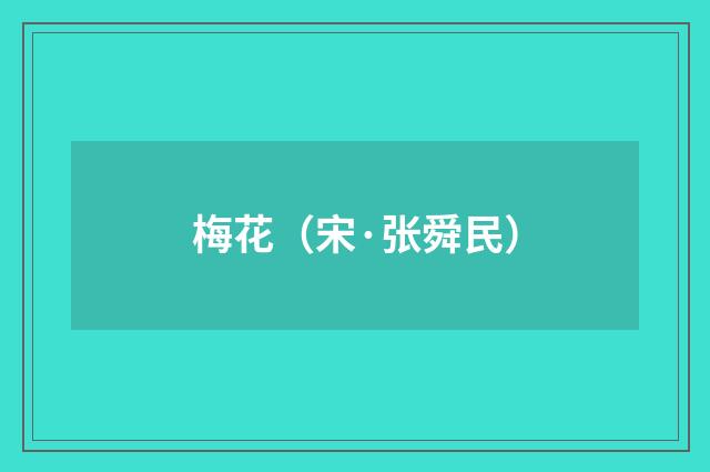 梅花（宋·张舜民）释义及解释