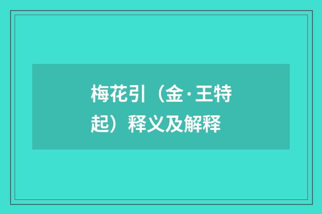 梅花引（金·王特起）释义及解释