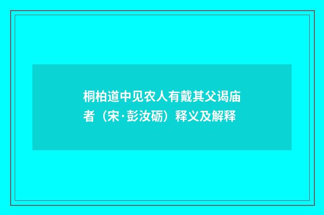 桐柏道中见农人有戴其父谒庙者（宋·彭汝砺）释义及解释