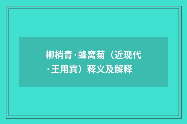 柳梢青·蜂窝菊（近现代·王用宾）释义及解释
