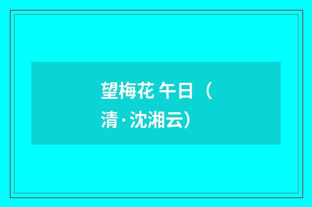 望梅花 午日（清·沈湘云）释义及解释
