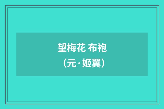望梅花 布袍（元·姬翼）释义及解释