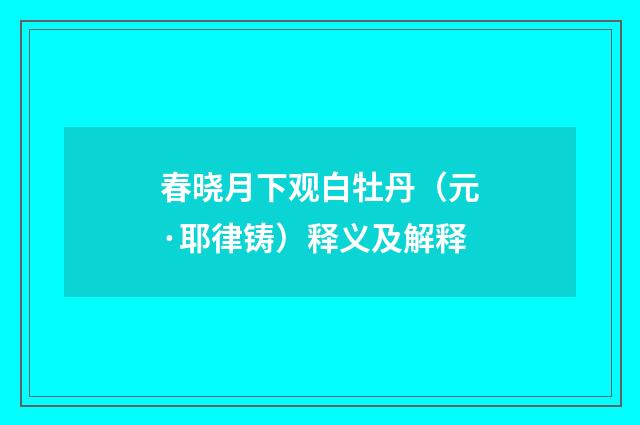 春晓月下观白牡丹（元·耶律铸）释义及解释
