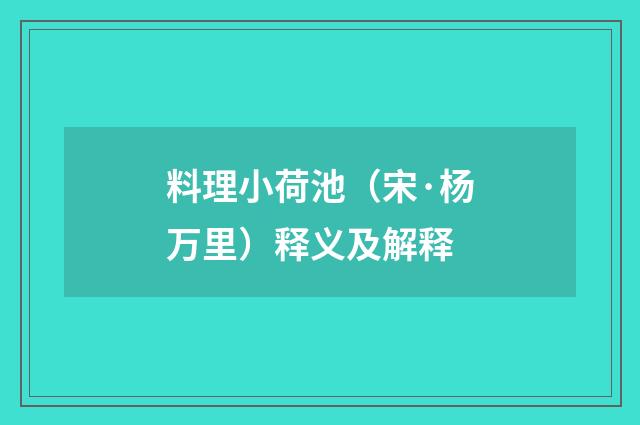 料理小荷池（宋·杨万里）释义及解释