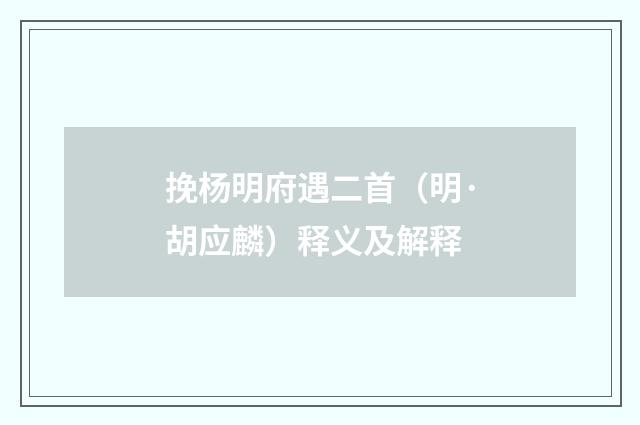 挽杨明府遇二首（明·胡应麟）释义及解释