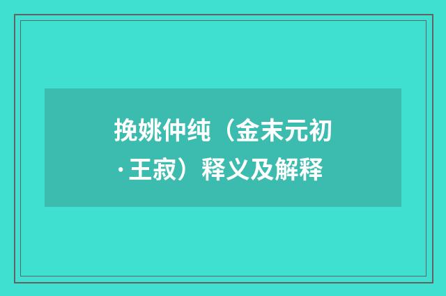 挽姚仲纯（金末元初·王寂）释义及解释