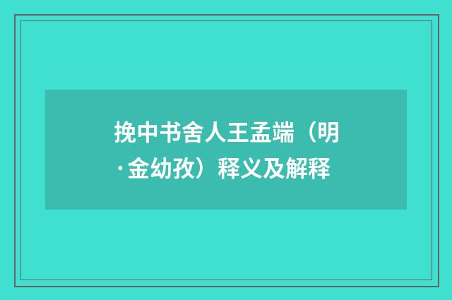 挽中书舍人王孟端（明·金幼孜）释义及解释