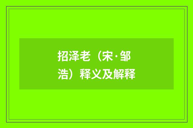 招泽老（宋·邹浩）释义及解释