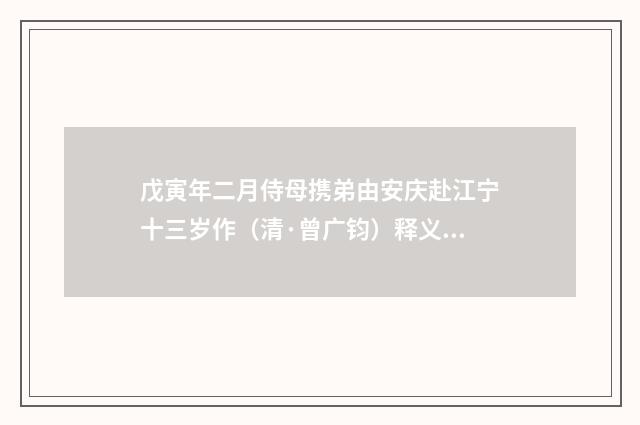 戊寅年二月侍母携弟由安庆赴江宁十三岁作（清·曾广钧）释义及解释
