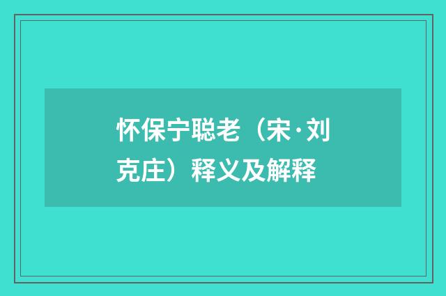 怀保宁聪老（宋·刘克庄）释义及解释