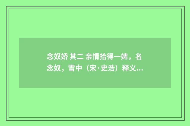 念奴娇 其二 亲情拾得一婢，名念奴，雪中（宋·史浩）释义及解释