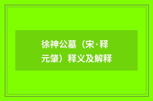 徐神公墓（宋·释元肇）释义及解释