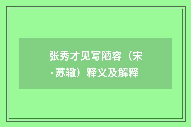 张秀才见写陋容（宋·苏辙）释义及解释