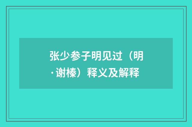 张少参子明见过（明·谢榛）释义及解释