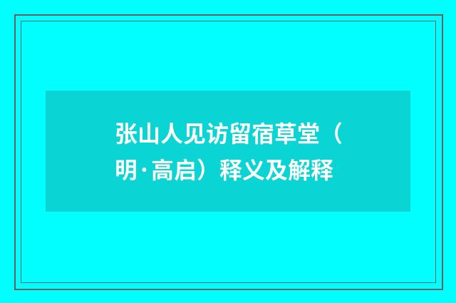 张山人见访留宿草堂（明·高启）释义及解释