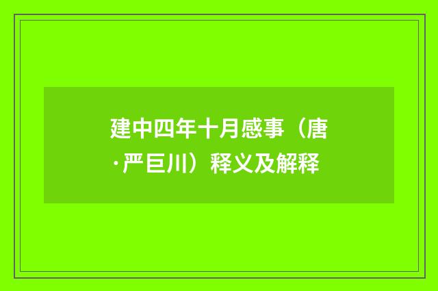 建中四年十月感事（唐·严巨川）释义及解释