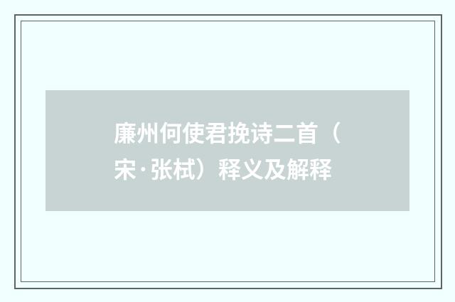 廉州何使君挽诗二首（宋·张栻）释义及解释