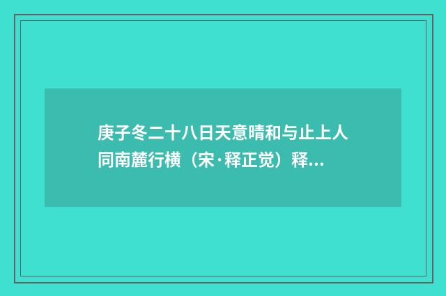 庚子冬二十八日天意晴和与止上人同南麓行横（宋·释正觉）释义及解释