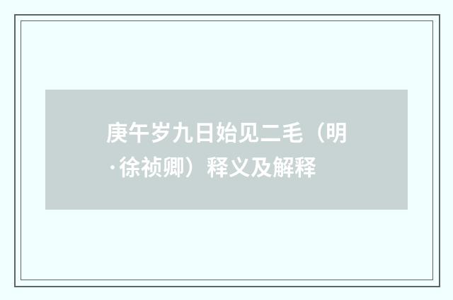 庚午岁九日始见二毛（明·徐祯卿）释义及解释