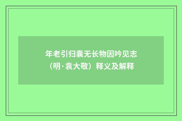 年老引归囊无长物因吟见志（明·袁大敬）释义及解释