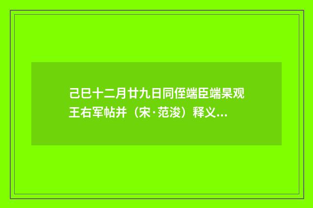 己巳十二月廿九日同侄端臣端杲观王右军帖并（宋·范浚）释义及解释