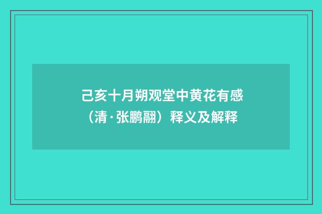 己亥十月朔观堂中黄花有感（清·张鹏翮）释义及解释