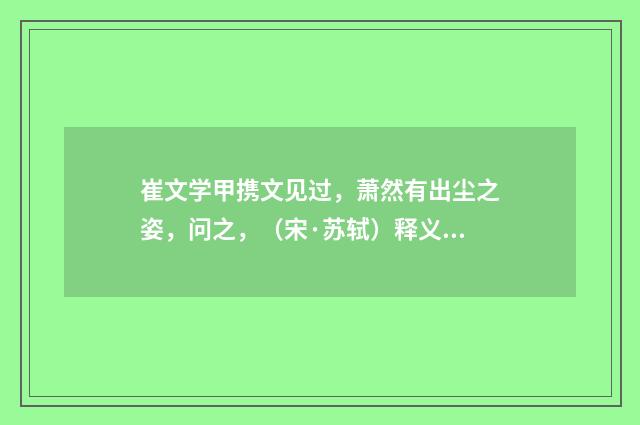崔文学甲携文见过，萧然有出尘之姿，问之，（宋·苏轼）释义及解释