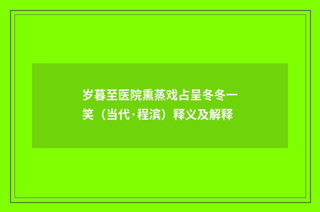 岁暮至医院熏蒸戏占呈冬冬一笑（当代·程滨）释义及解释