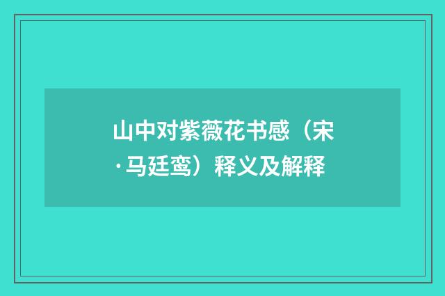 山中对紫薇花书感（宋·马廷鸾）释义及解释