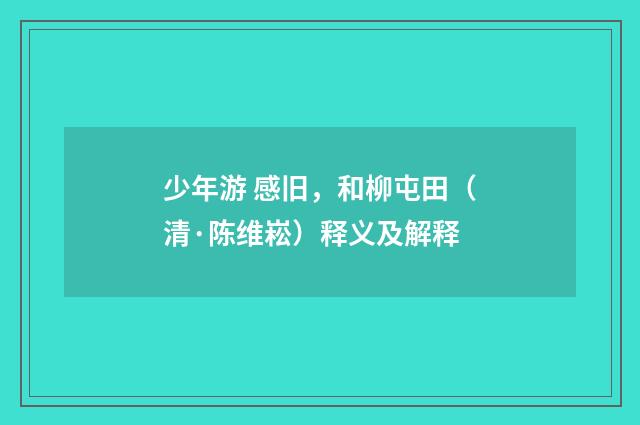 少年游 感旧，和柳屯田（清·陈维崧）释义及解释