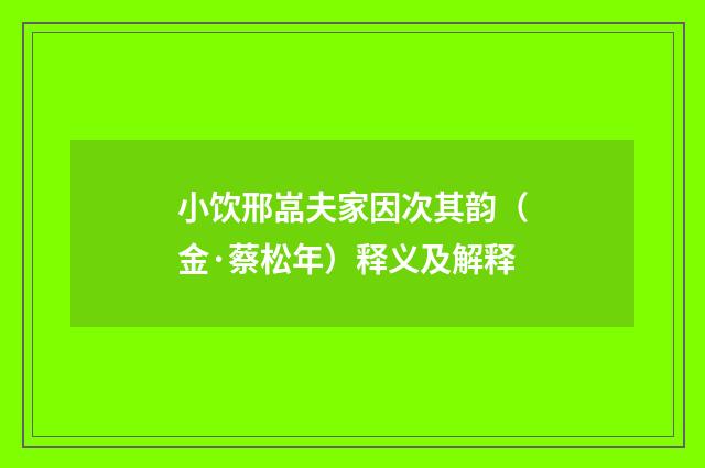 小饮邢嵓夫家因次其韵（金·蔡松年）释义及解释