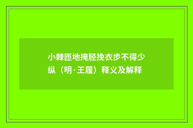 小棘匝地掩胫挽衣步不得少纵（明·王履）释义及解释